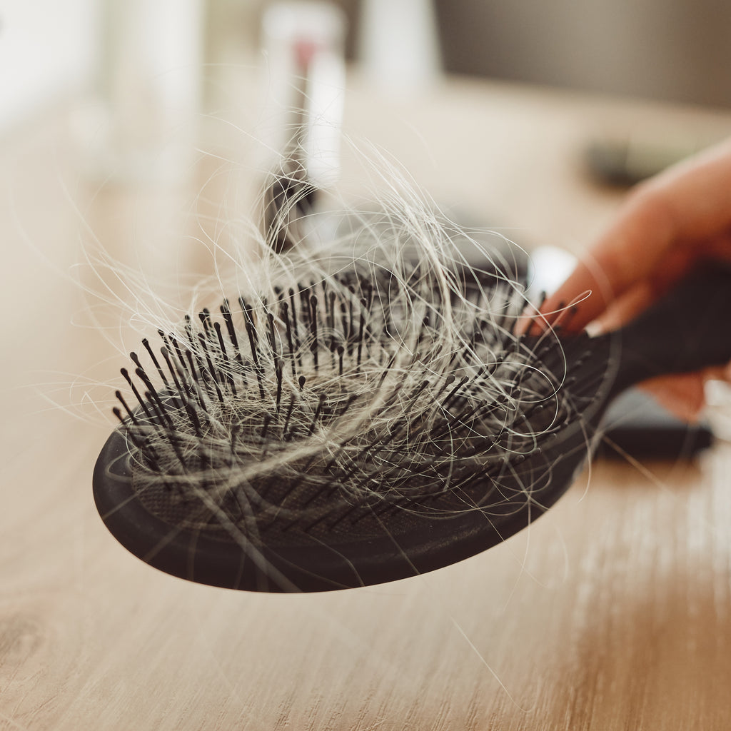 10 raisons qui expliquent votre chute de cheveux